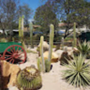 Meet your Posher, Joanne